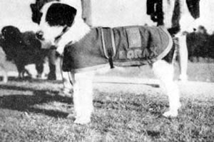 Borax
