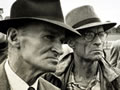 Dairy farmers