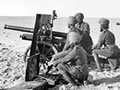 Camel artillery ready to fire