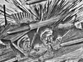 Chronicles of the N.Z.E.F. cartoon