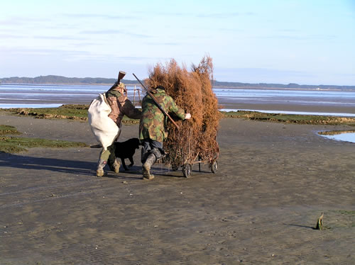 Duck hunting in New Zealand
