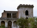 Remains of old castle with trees growing wild