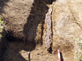 Remains of wooden pole in archeological pit.