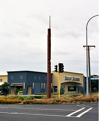 Fitroy's pole