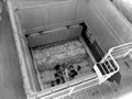 Stowing frozen carcasses on the Port Caroline