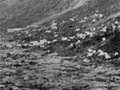 Tents dotted around patches of dug-up ground in large valley
