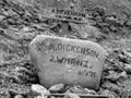 Alfred Dickinson's grave