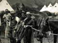Horses in paddock tied to ropes with soldiers gathered and white conical tents in the background