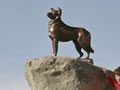 Sheepdog memorial