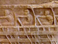 Ancient greek rowers
