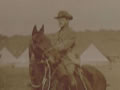 Horses on Gallipoli