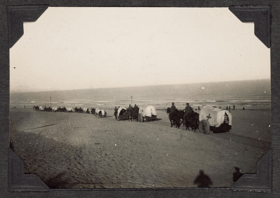 Transporting wounded from Magdhaba