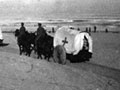 Transporting wounded from Magdhaba