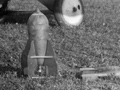 Independent Force bomber