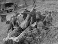 Artillery on the Sangro River front
