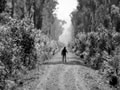 James Bragge's 5 Mile Ave photograph