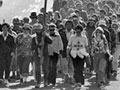 Te Rōpū Matakite march on Parliament, 1975