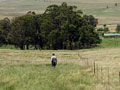 View of battlefield