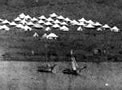 See enlarged version of this image