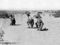 New Zealanders training near Katia