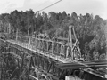 Rail viaduct under construction in bush setting