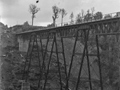 Newly built viaduct with bush cut away underneath large metal legs