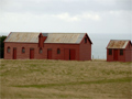 Red wooden buildings in paddock