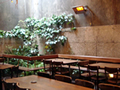 The Matterhorn outside area 