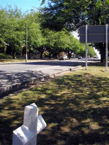 North Otago memorial oaks