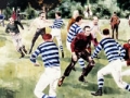 Nelson, birthplace of New Zealand rugby