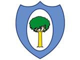 Northland logo Northland logo