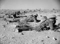 New Zealandi soldiers training in Egypt