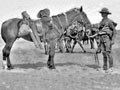 New Zealand mounted trooper