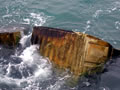 Concreted container in Oamaru Harbour