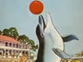 Opo the dolphin