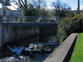 Otago University