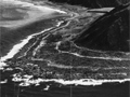 Palliser Bay