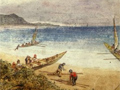Palliser Bay
