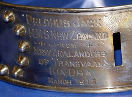Pelorus Jack collar detail
