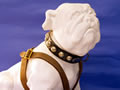 Pelorus Jack the mascot