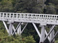 Wooden bridge over bush