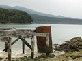 Remains of wooden wharf on beach