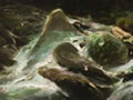 Otira Gorge by Petrus van der Velden