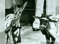 Philomel mascots Muscat