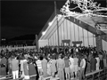 Pipitea Marae
