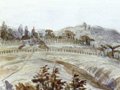 Pukerangiora