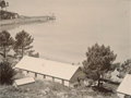 Looking down from hill over shed roofs to wharf and harbour
