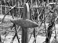 Detail from memorial