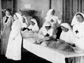 Red Cross workers
