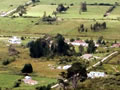 Seddonville in 2000